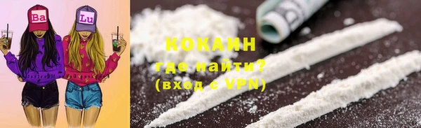 PSILOCYBIN Бородино