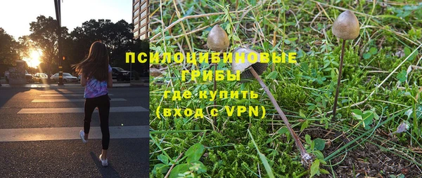 PSILOCYBIN Бородино