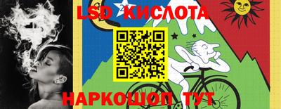 индика Пугачёв