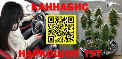 шишки Пушкино