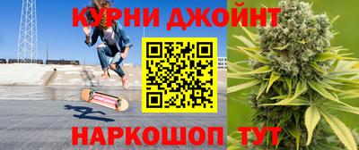 индика Пугачёв