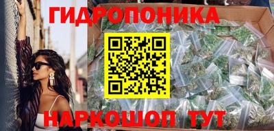 индика Пугачёв