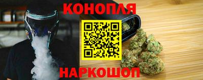 индика Пугачёв