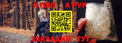 индика Пугачёв