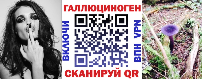наркота  Среднеуральск  Галлюциногенные грибы GOLDEN TEACHER 