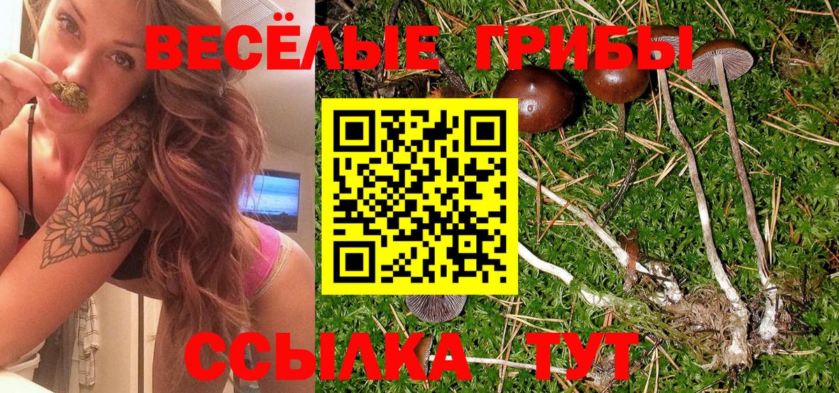 Псилоцибиновые грибы Psilocybine cubensis  Вход с VPN  Псилоцибиновые грибы Cubensis  Среднеуральск 